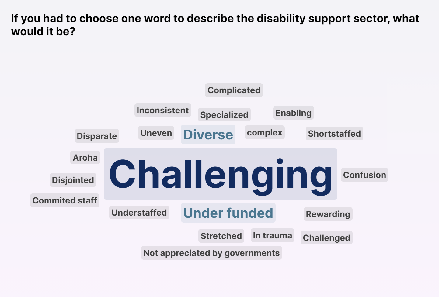 An image displays a word cloud of words that participants entered to describe the Disability Support sector, words include challenging, diverse, complex, under-funded, disparate, stretched, rewarding, enabling, specialised and inconsistent.