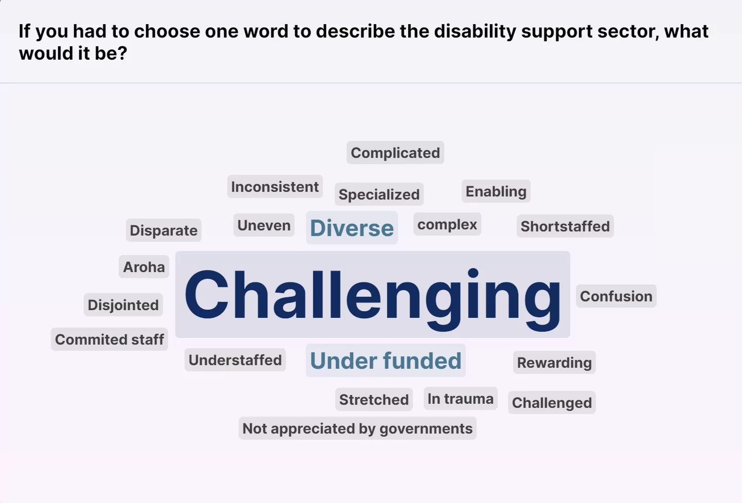 An image displays a word cloud of words that participants entered to describe the Disability Support sector, words include challenging, diverse, complex, under-funded, disparate, stretched, rewarding, enabling, specialised and inconsistent.